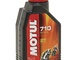 MOTUL 710 2T 4L